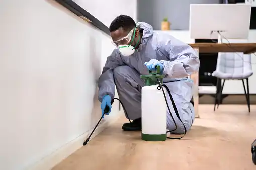 pest control Oasis